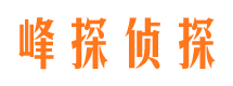 海淀市侦探调查公司